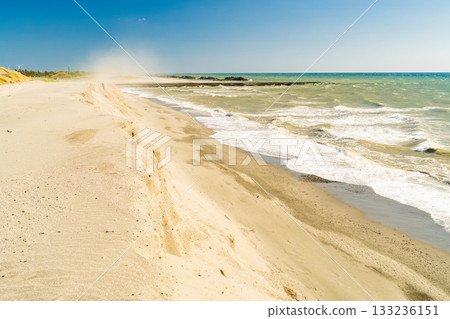 靜岡縣中田島沙丘 - 晴空下的景色 靜岡縣中田島沙丘 - 晴空下的景色 133236151