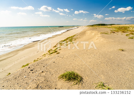 靜岡縣中田島沙丘 - 晴空下的景色 133236152