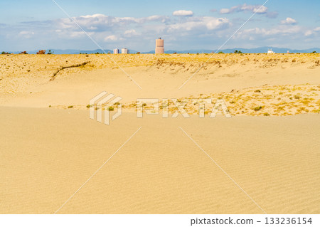 靜岡縣中田島沙丘 - 晴空下的景色 133236154