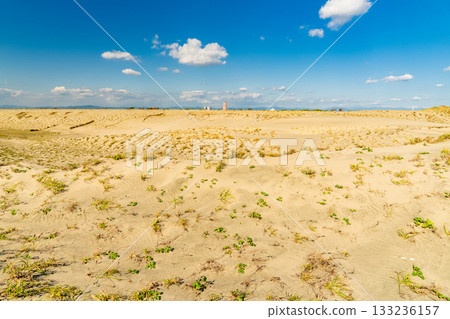 靜岡縣中田島沙丘 - 晴空下的景色 133236157