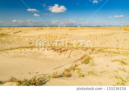 靜岡縣中田島沙丘 - 晴空下的景色 133236158