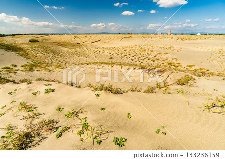 靜岡縣中田島沙丘 - 晴空下的景色 133236159