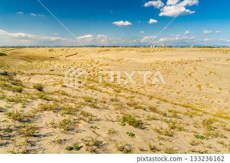 <<Shizuoka Prefecture>> Nakatajima Sand Dunes - Scenery under clear skies 133236162