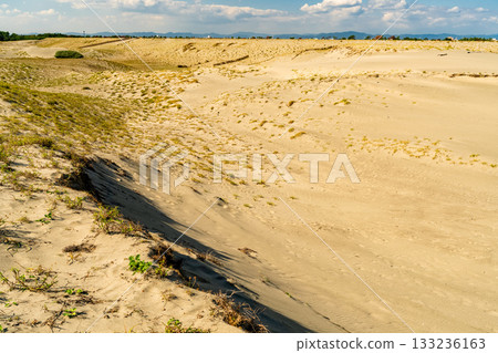 <<Shizuoka Prefecture>> Nakatajima Sand Dunes - Scenery under clear skies 133236163