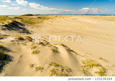 <<Shizuoka Prefecture>> Nakatajima Sand Dunes - Scenery under clear skies <<Shizuoka Prefecture>> Nakatajima Sand Dunes - Scenery under clear skies 133236164