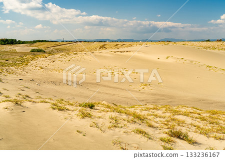 <<Shizuoka Prefecture>> Nakatajima Sand Dunes - Scenery under clear skies 133236167