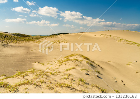 靜岡縣中田島沙丘 - 晴空下的景色 133236168