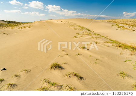 <<Shizuoka Prefecture>> Nakatajima Sand Dunes - Scenery under clear skies <<Shizuoka Prefecture>> Nakatajima Sand Dunes - Scenery under clear skies 133236170