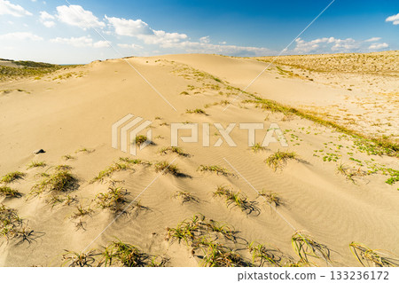 靜岡縣中田島沙丘 - 晴空下的景色 133236172