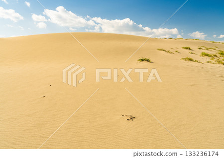 靜岡縣中田島沙丘 - 晴空下的景色 133236174