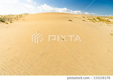 <<Shizuoka Prefecture>> Nakatajima Sand Dunes - Scenery under clear skies 133236176