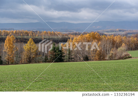 落葉之地 落葉之地 133236194