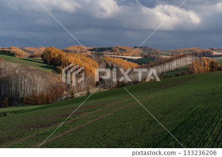 落葉之地 133236206