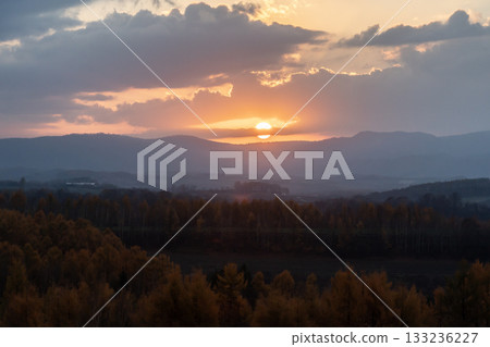 落葉之地 落葉之地 133236227