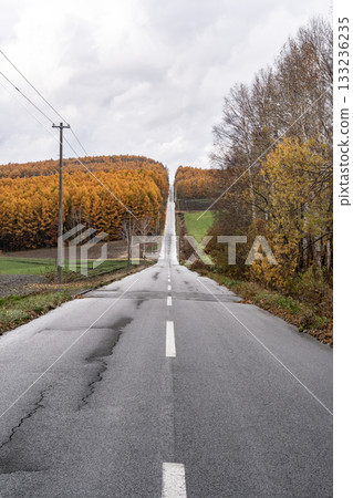 Land of Larch Leaves Land of Larch Leaves 133236235
