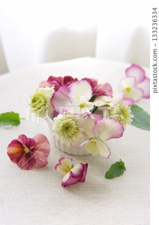 Pansies on the windowsill 133236334