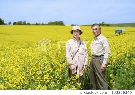 Senior couple sightseeing in a field of rapeseed flowers in full bloom (strong retouching version) Senior couple sightseeing in a field of rapeseed flowers in full bloom (strong retouching version) 133236340