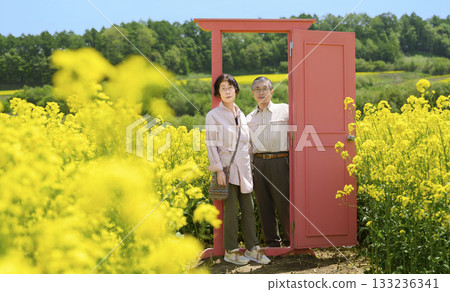 Senior couple sightseeing in a field of rapeseed flowers in full bloom (strong retouching version) 133236341