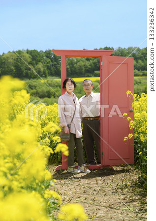 Senior couple sightseeing in a field of rapeseed flowers in full bloom (strong retouching version) 133236342
