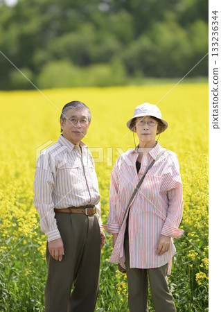 Senior couple sightseeing in a field of rapeseed flowers in full bloom (strong retouching version) 133236344