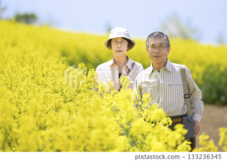 Senior couple sightseeing in a field of rapeseed flowers in full bloom (strong retouching version) 133236345