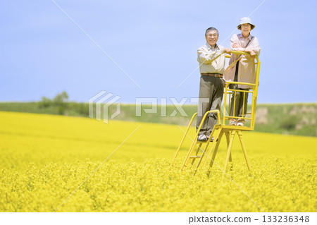 Senior couple sightseeing in a field of rapeseed flowers in full bloom (strong retouching version) Senior couple sightseeing in a field of rapeseed flowers in full bloom (strong retouching version) 133236348