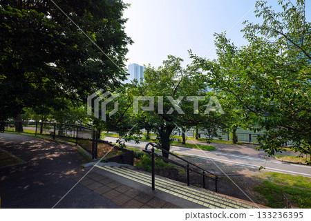 Scenery of Kema Sakuranomiya Park 133236395