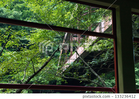 Scenery of the Sagano Scenic Train Scenery of the Sagano Scenic Train 133236412