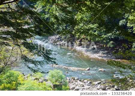 嵯峨野觀光列車沿途風景 嵯峨野觀光列車沿途風景 133236420