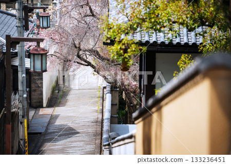 口川坂的春景 133236451