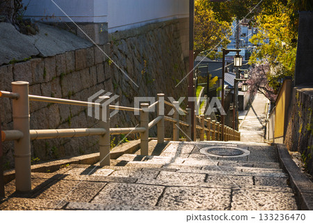 口川坂的春景 133236470