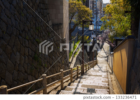 Spring scenery of Kuchinawazaka 133236471