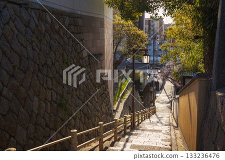 口川坂的春景 133236476