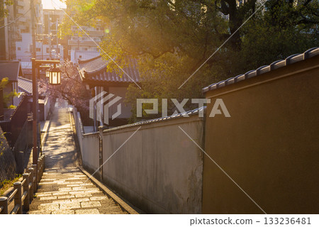 Spring scenery of Kuchinawazaka 133236481