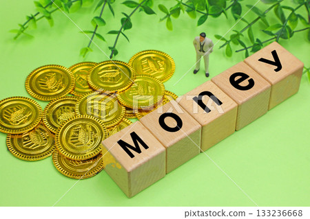 Money Image of money 133236668