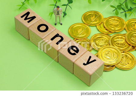 Money Image of money 133236720