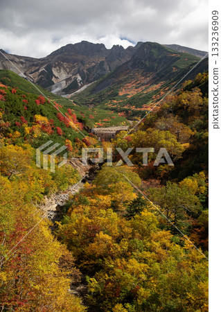 Spectacular autumn foliage at Ryounkaku 133236909