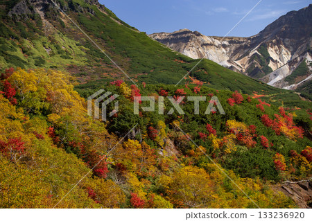 Spectacular autumn foliage at Ryounkaku Spectacular autumn foliage at Ryounkaku 133236920