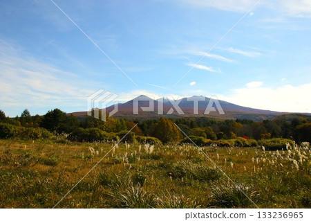 [Aomori Prefecture] Autumn leaves of Mt. Hakkoda 133236965