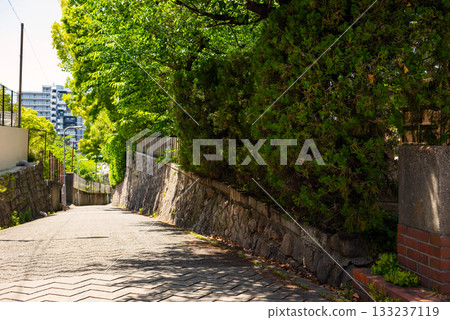 愛曾坂的景色 133237119