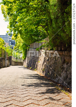 愛曾坂的景色 133237124