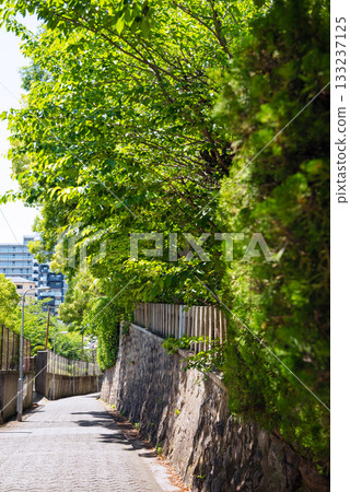 愛曾坂的景色 133237125