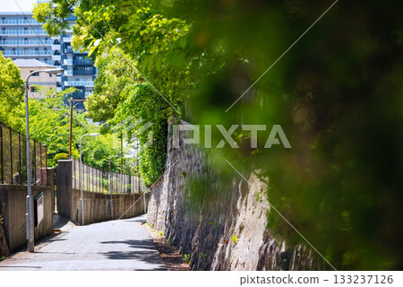 愛曾坂的景色 133237126