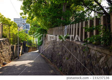 Scenery of Aizenzaka 133237136