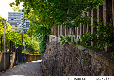 愛曾坂的景色 133237138