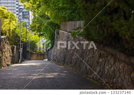 愛曾坂的景色 133237140