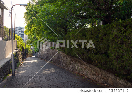 愛曾坂的景色 133237142