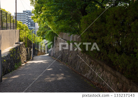 愛曾坂的景色 133237143