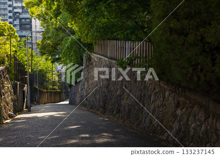 愛曾坂的景色 133237145