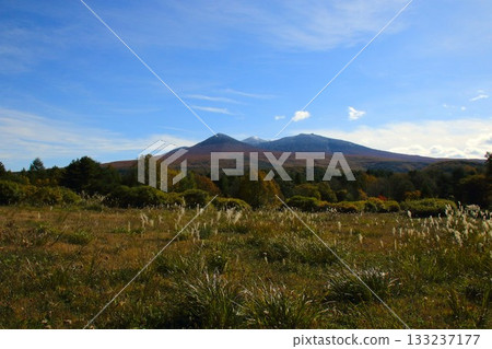 [Aomori Prefecture] Autumn leaves of Mt. Hakkoda 133237177